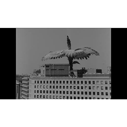 正規品 ULTRAMAN ARCHIVES ウルトラQ UHD & MovieNEX [Blu-ray] 【ZYX8711217312】(31682円)