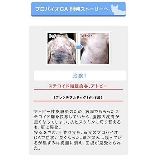 犬の脱ステロイド 黒ずみ 痒み 膿皮症 外耳炎 アトピー アレルギーに プロバイオca 犬のサプリメント 顆粒2g 30包 約30日分 小 中 Ym8fb63ef8c2 アンリ株式会社 ヤフー店 通販 Yahoo ショッピング