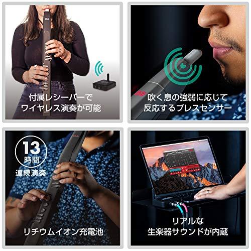 Akai Pro EWI 5000 黒 ウインドシンセサイザー 電子管楽器 Akai Pro EWI 5000 黒 ウインドシンセサイザー 電子管楽器