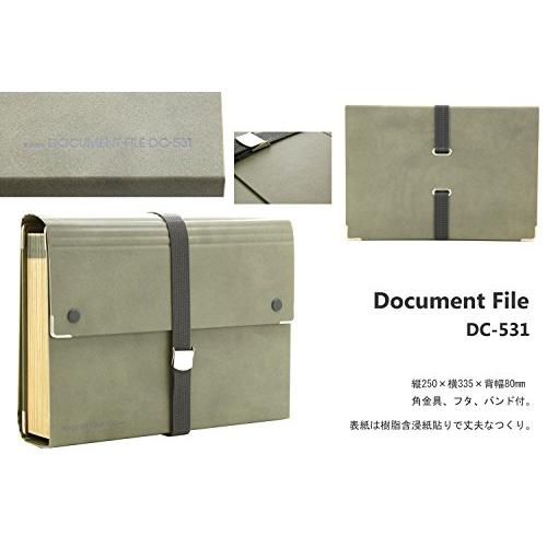 ライオン事務器 ドキュメントファイル A4 32P DC-531 : unli