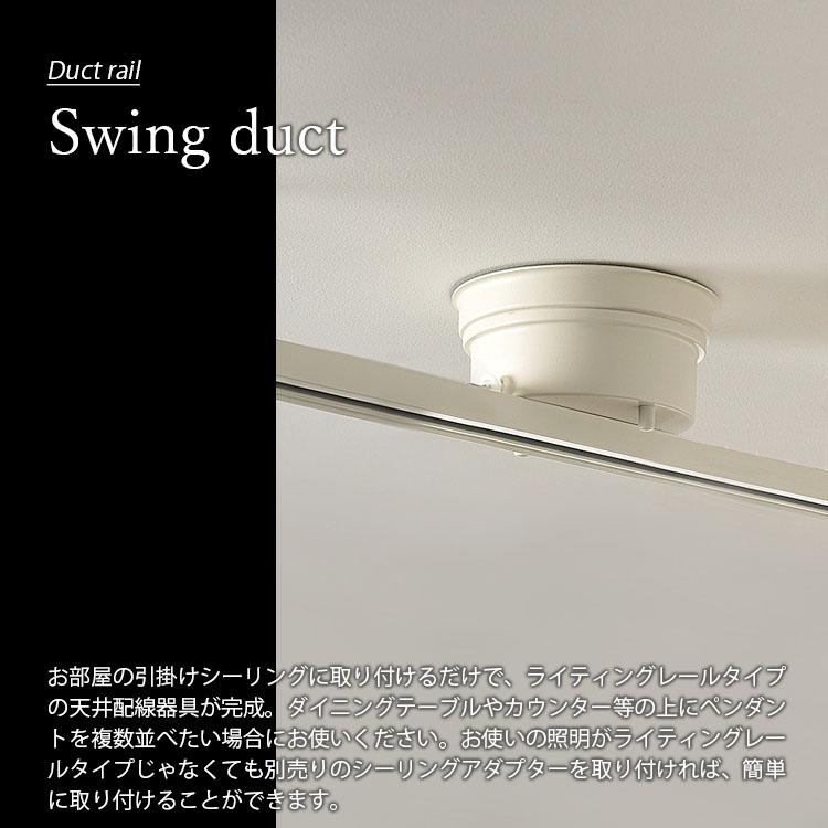 ARTWORKSTUDIO（アートワークスタジオ） Swing Duct スイングダクト BU
