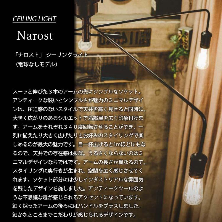 INTERFORM（インターフォルム） Narost ナロスト シーリングライト