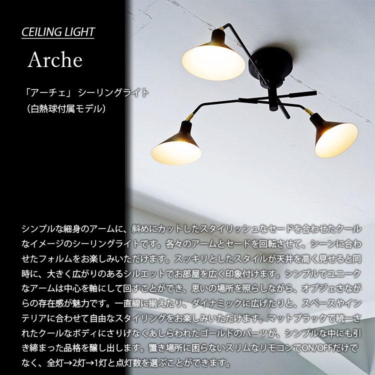 インターフォルム シーリングライト Ronne ロネ LT-9518 INTERFORM (インターフォルム) Ronne ロネ LT-9518-20BK アカリ