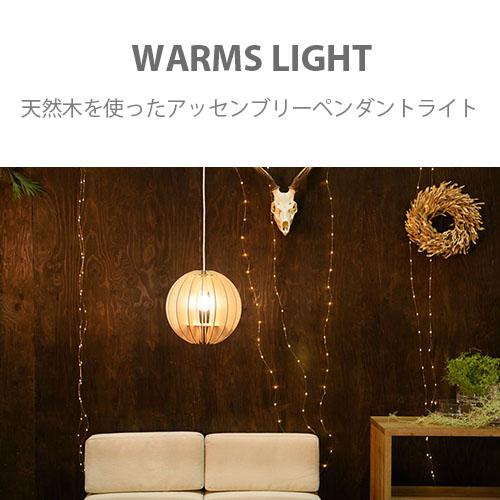 スワン電器 SWAN Another Garden WARMS Light Globe30 ワームスライト