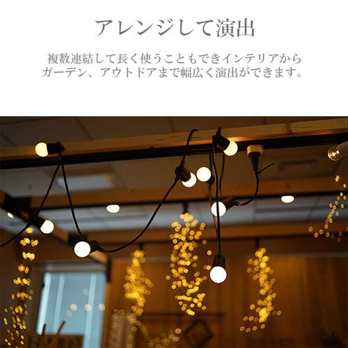 スワン電器 SWAN Another Garden LED Stringlight 12bulb(5M) LED