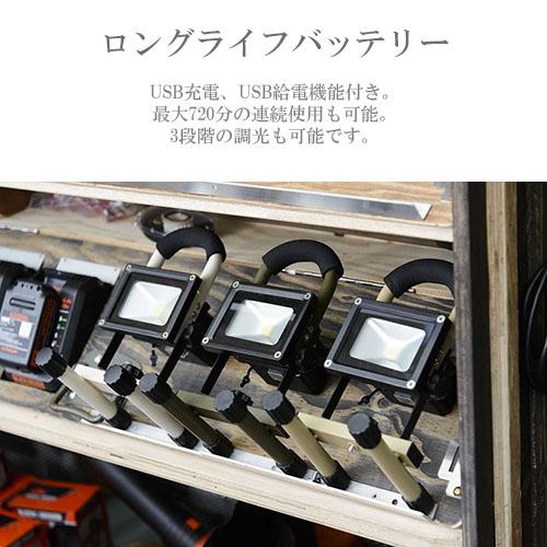 スワン電器 SWAN Another Garden Recharge Light リチャージライト AOL
