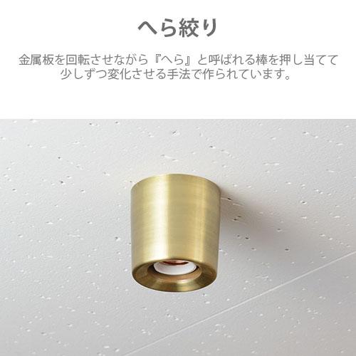 スワン電器 SWAN Another Garden Bulb lightcap バルブライトキャップ