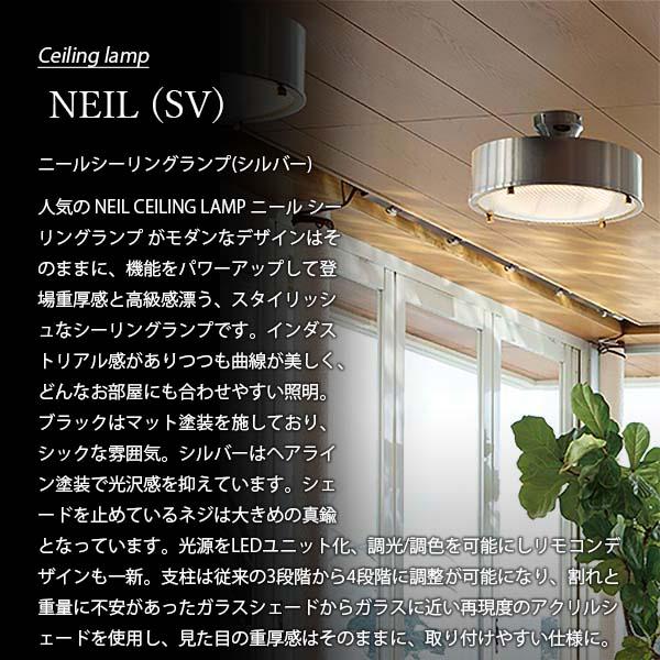 HERMOSA ハモサ NEIL CEILING LAMP (SV) ニールシーリングランプ HERMOSA ハモサ NEIL CEILING LAMP (SV) ニールシーリングランプ