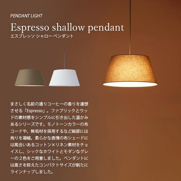 ARTWORKSTUDIO（アートワークスタジオ） Espresso-shallow pendant 