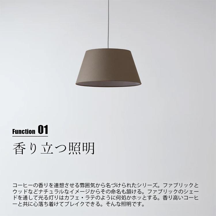 ARTWORKSTUDIO（アートワークスタジオ） Espresso-shallow pendant