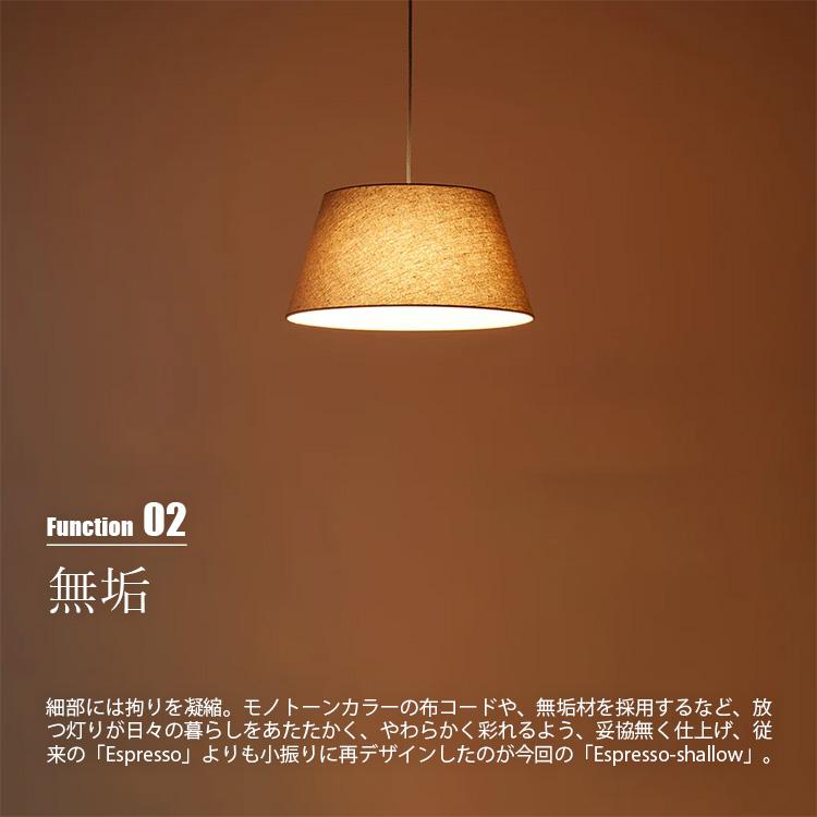 ARTWORKSTUDIO（アートワークスタジオ） Espresso-shallow pendant