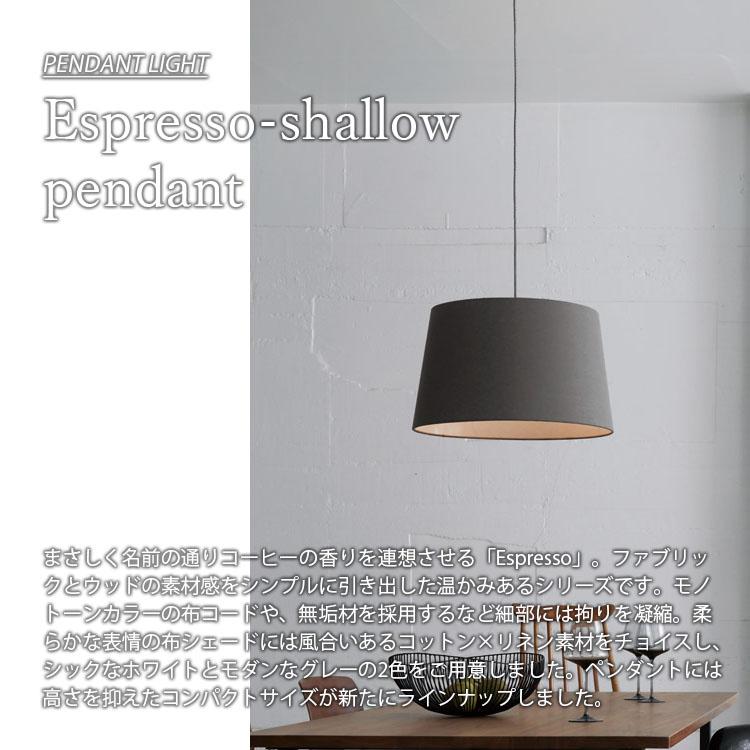 ARTWORKSTUDIO（アートワークスタジオ） Espresso-shallow pendant