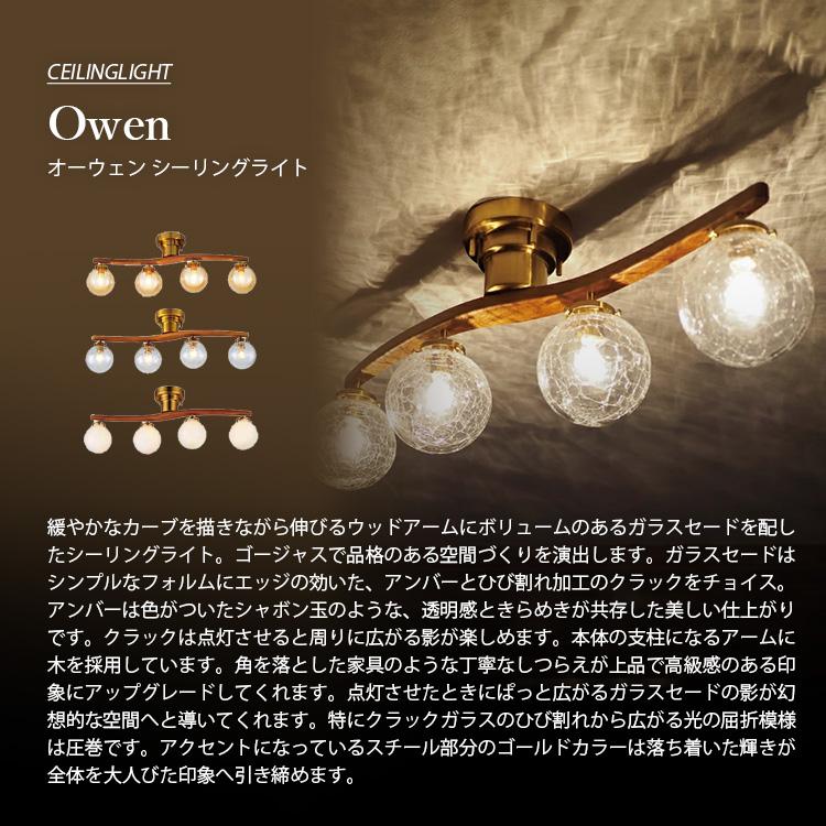 INTERFORM（インターフォルム） Owen オーウェン シーリングライト LT