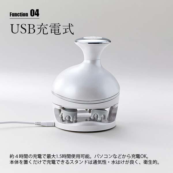 FESTINO（フェスティノ） CHARGING HEAD WASH SPA 充電式 ヘッド