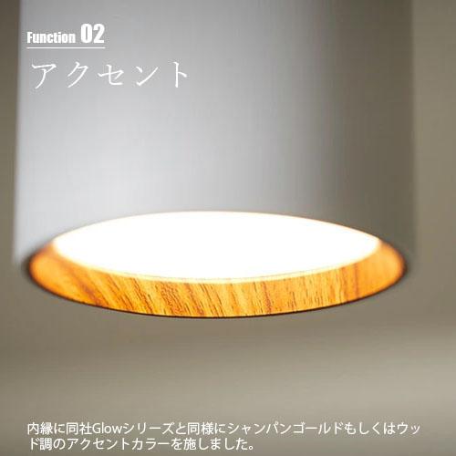 ARTWORKSTUDIO（アートワークスタジオ） Grid PLUS-duct down light