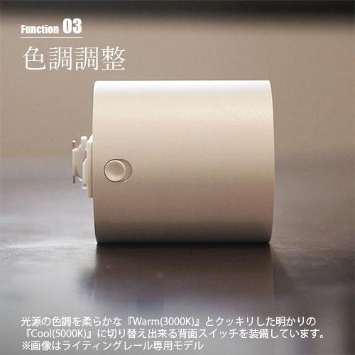 ARTWORKSTUDIO（アートワークスタジオ） Grid PLUS-duct down light
