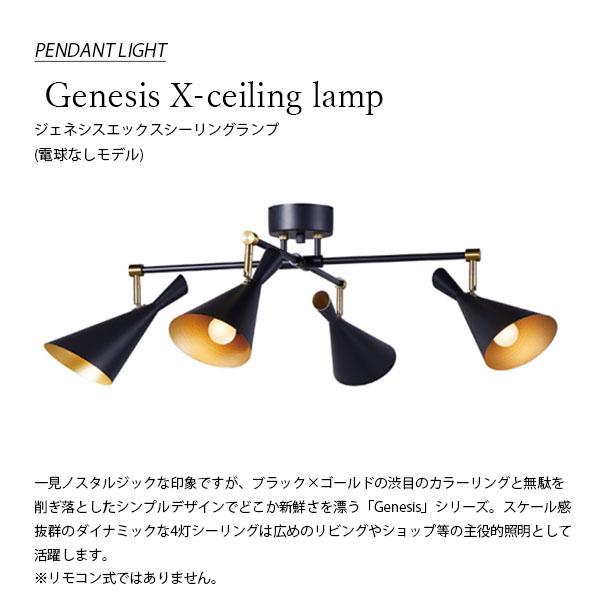 【空間浄化】ジェネシス　Genesis　W40 ARTWORKSTUDIO アートワークスタジオ GenesisX-ceiling lamp