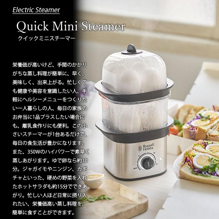 RUSSELL HOBBS（ラッセルホブス） Quick Mini Steamer クイックミニ