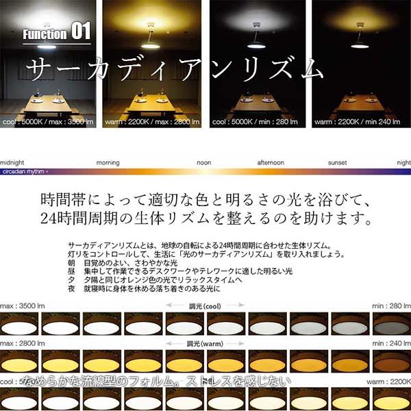 DI CLASSE ディクラッセ LED Giorno ceiling \u0026 pendant lamp LED ジョルノ シーリング\u0026ペンダントランプ LC3135GY / LC3135BK 天井照明 LED内蔵_4