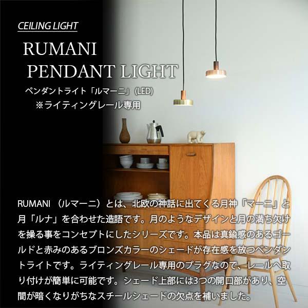 SWAN スワン電器 Anther Garden RUMANI PENDANT LIGHT ルマーニ ペンダントライト LED APE-055 (ライティングレール専用) 1灯 ペンダントランプ 天井吊下げ照明_2