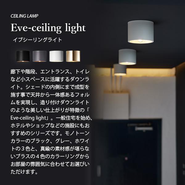 ARTWORKSTUDIO（アートワークスタジオ） Eve-ceiling light イブ