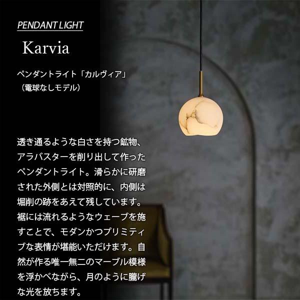 INTERFORM（インターフォルム） Karvia カルヴィア ペンダントライト