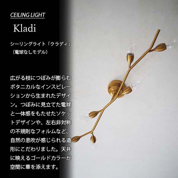 INTERFORM（インターフォルム） Kladi クラディ シーリングライト