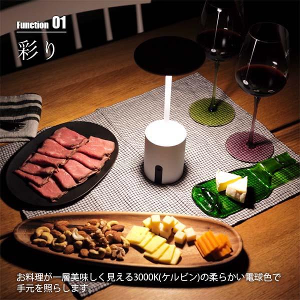 DI CLASSE デイクラッセ LED Cockterior portable lamp DI CLASSE デイクラッセ LED Cockterior portable lamp