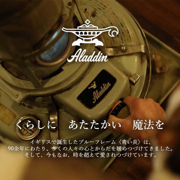 Aladdin アラジン Graphite griller with magic plate グラファイトグリラー（マジックプレート） CAG-G13B ホットプレート 卓上調理器 無煙 煙が出ない｜unlimit｜10