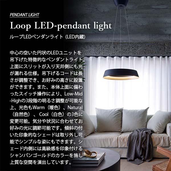 シーリングライト・天井照明 ART WORK STUDIO Loop LED-pendant light Loop LED-pendant light｜ARTWORKSTUDIO公式