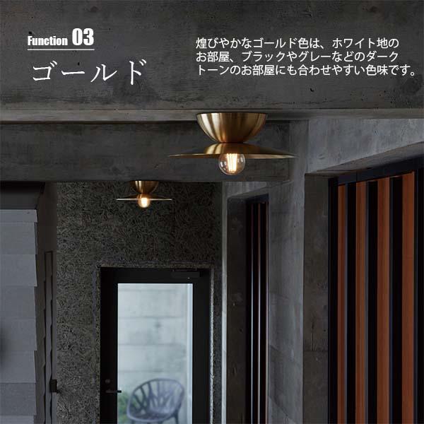 ARTWORKSTUDIO（アートワークスタジオ） Probe-ceiling light (L)-BS
