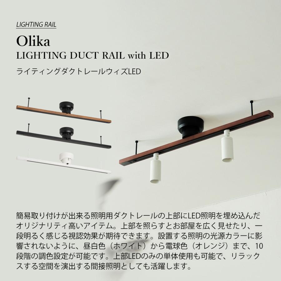 BRID ブリッド LIGHTING DUCT RAIL with LED ライティングダクトレール