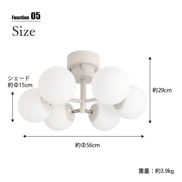 BRID（ブリッド） TINY GLASS CEILING LIGHT 6 タイニーグラス