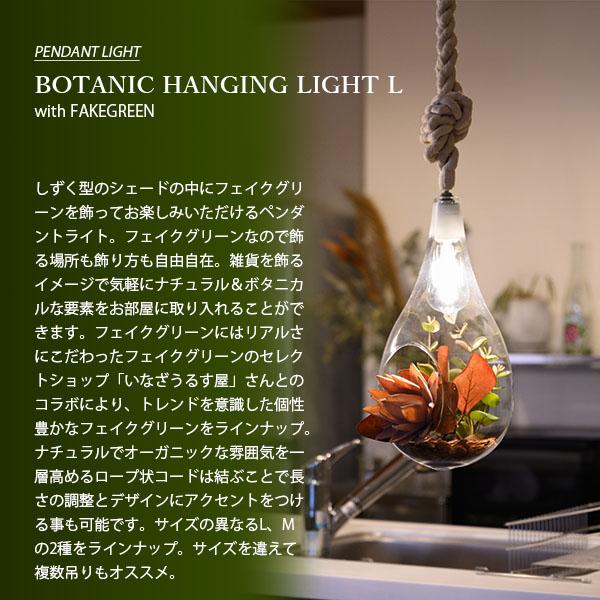 Another Garden SWAN スワン電器 BOTANIC HANGING LIGHT with