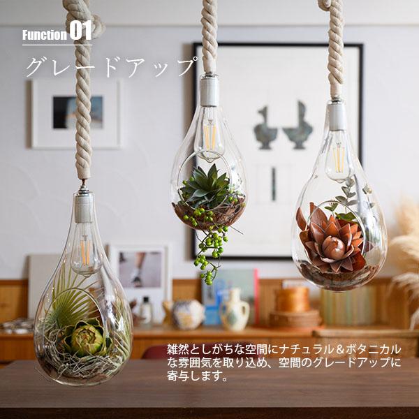 Another Garden SWAN スワン電器 BOTANIC HANGING LIGHT with
