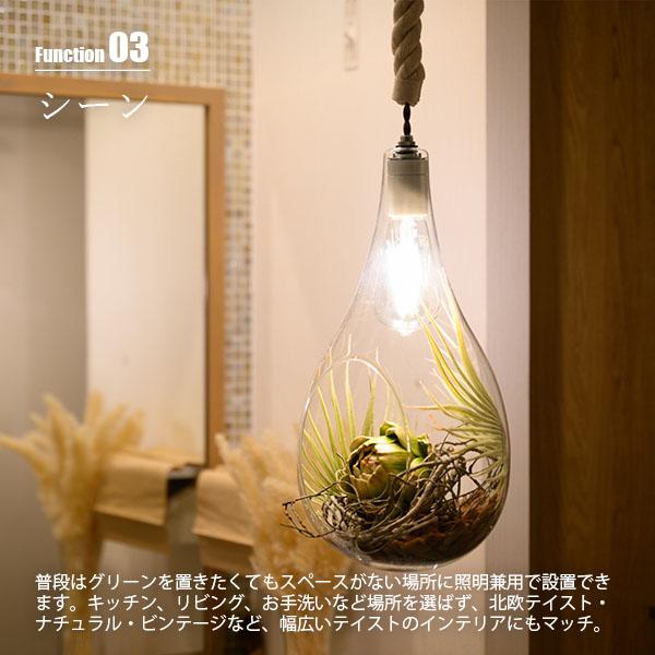 Another Garden SWAN スワン電器 BOTANIC HANGING LIGHT with