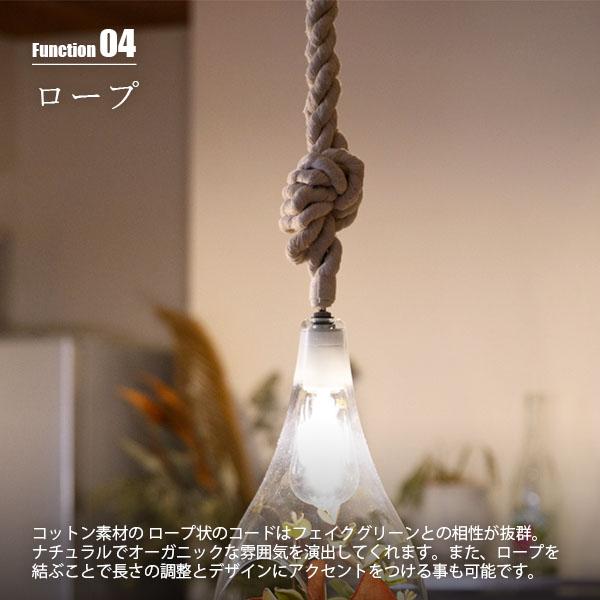 Another Garden SWAN スワン電器 BOTANIC HANGING LIGHT with