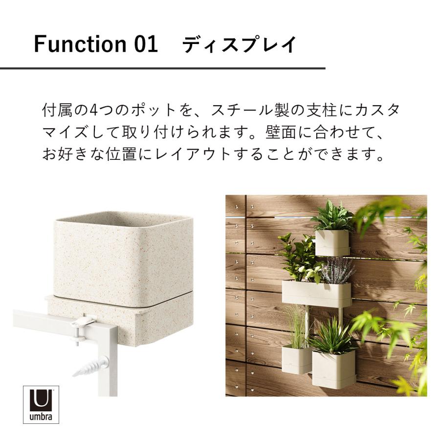 Umbra アンブラ キュービコ ウォールプランター CUBIKO WALL PLANTER プランター 観葉植物 多肉植物 収納 小物入れ 壁面 壁掛けの画像