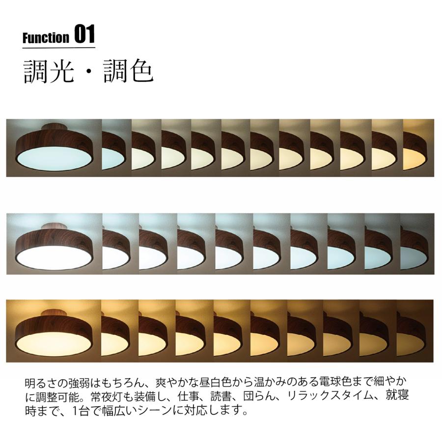 NAGASAWA Lighting 長澤ライティング Rayg レイグ LEDシーリングライト