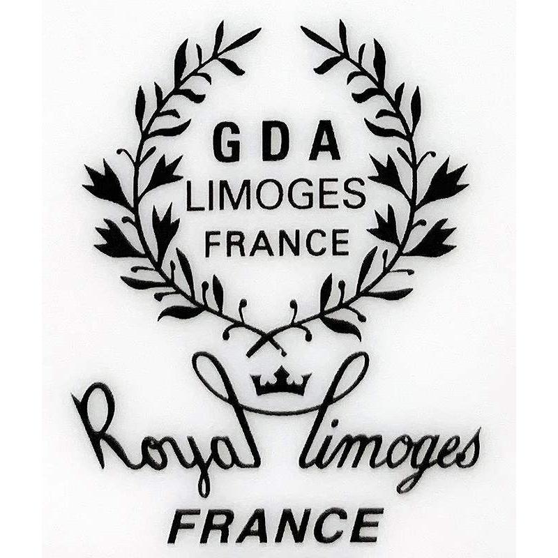 G.D.A. ジェーデーアー リモージュ ディナープレート 平皿 フランス製