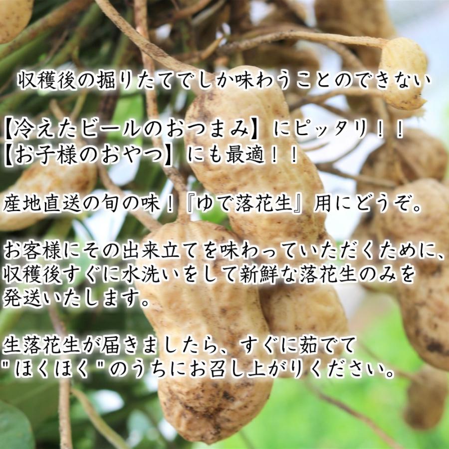 令和元年新豆 千葉県産ジャンボ生落花生 おおまさり 3kg詰め 茹で落花生レシピ付き Pagbszkbr9 南房総 うんめぇ屋 通販 Yahoo ショッピング