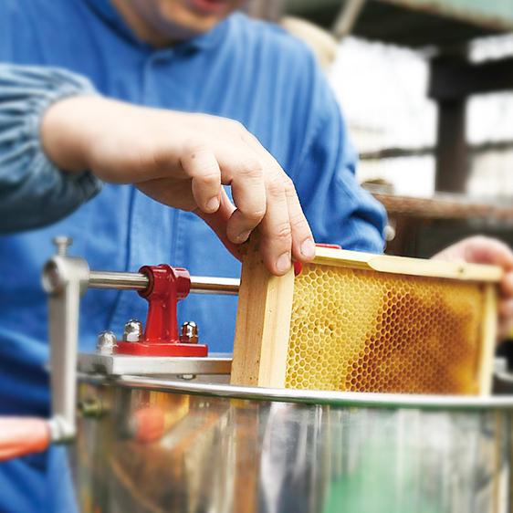 缶 クッキー おしゃれ ブールドネージュ 焼き菓子 スノーボールクッキー 蜂蜜 ねぎしの森のはちみつ ブールドネージュ缶 3点セット Negishi4300 石巻応援 若者支援 うんめえもん市 通販 Yahoo ショッピング
