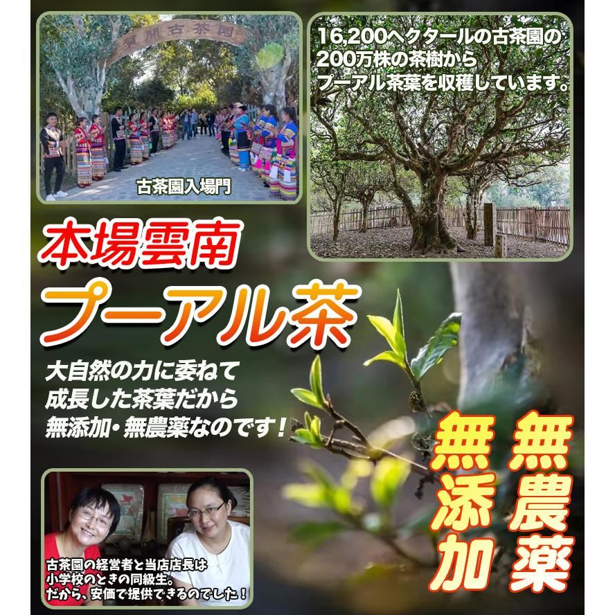 お茶 プーアル茶 茶葉 2008年産 とう茶 約3.5g×200個 (50個×4袋) 無農薬 無添加 ダイエット 本場雲南産 六大茶山 中国茶 プレゼントにの画像