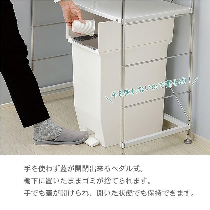 ペダル式 ダストボックス 45L Lサイズ 抗菌加工 防汚加工 ゴミ箱 背面