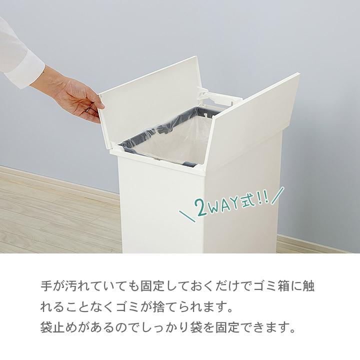 ペダル式 ダストボックス 45L Lサイズ 抗菌加工 防汚加工 ゴミ箱 背面