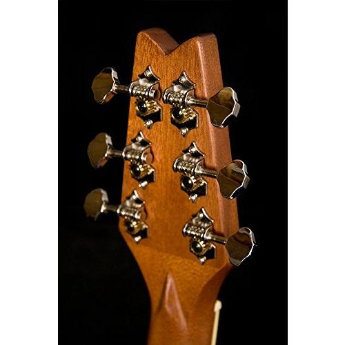Washburn rover ro10sbk