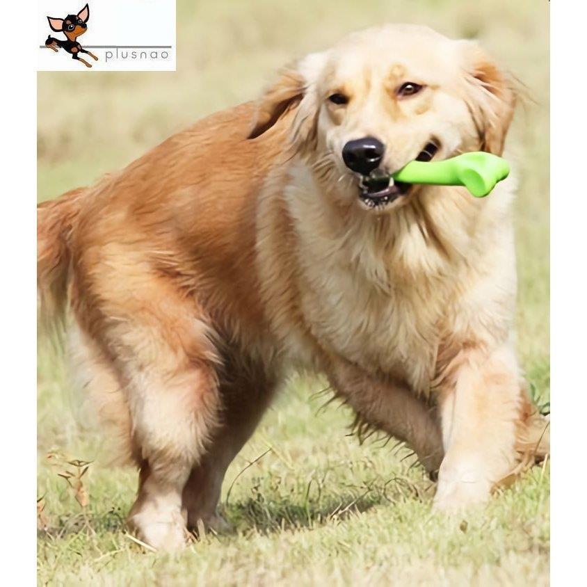 おもちゃの骨 犬用 ドッグ ペット用品 ペット用おもちゃ 骨型 かじる 顎の発育 緑 グリーン ストレス発散 遊び Qjsx3 Lxh Uno 通販 Yahoo ショッピング