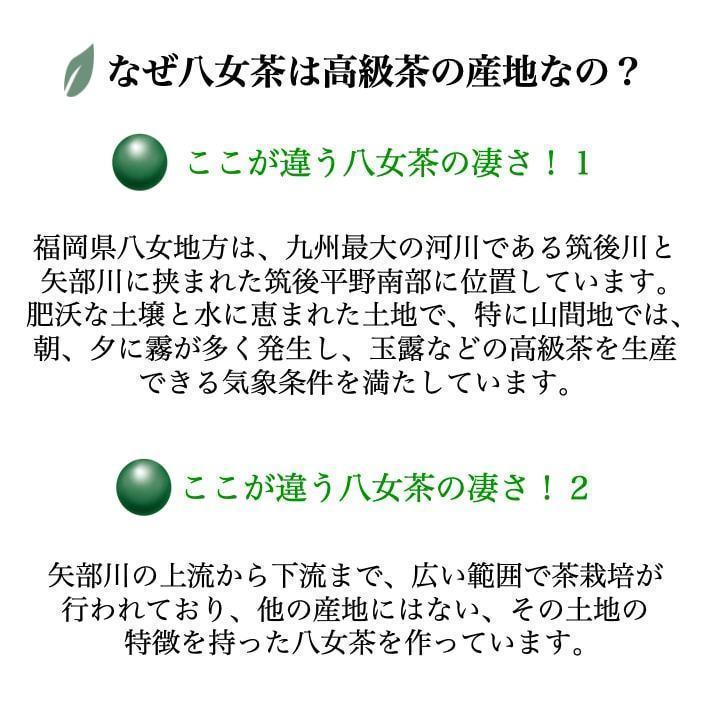 新茶 2024 お茶 八女茶 水出し 緑茶 煎茶 茶葉 深蒸し茶 日本茶 カテキン 茶ごころ 100g  鵜ノ池製茶｜unoike｜09