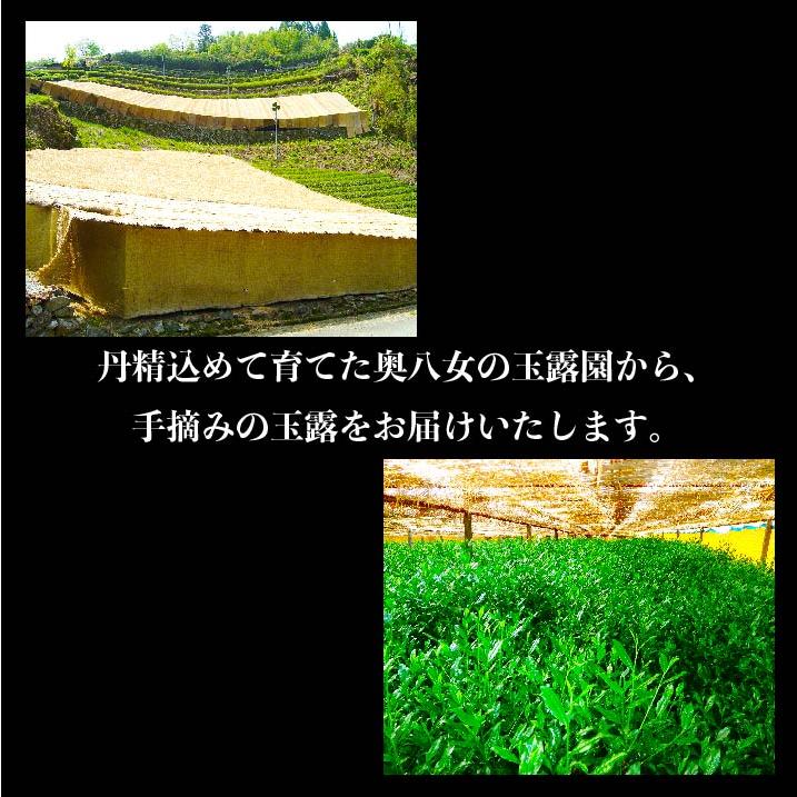母の日 お茶 ギフト プレゼント 八女茶 玉露 高級茶 水出し緑茶 緑茶 煎茶 茶葉 日本茶 伝統本玉露