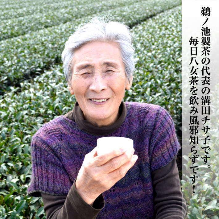 新茶 2026 八女茶 お茶 緑茶 煎茶 茶葉 深蒸し茶 日本茶 カテキン 500g